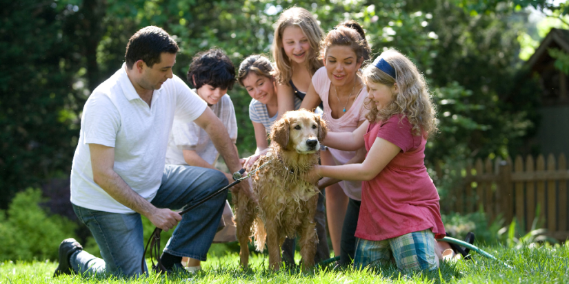 В рекламе могут начать показывать только многодетные семьи - 2023-04-04 18:05:00 - 1