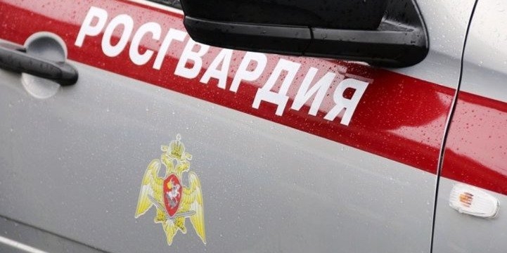 Росгвардейцы Великих Лук задержали похитителей посуды и телевизора - 2022-11-22 16:05:00 - 1