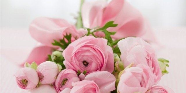 Глава Пскова поздравляет медицинских работников с профессиональным праздником - 2021-06-16 13:56:00 - 1