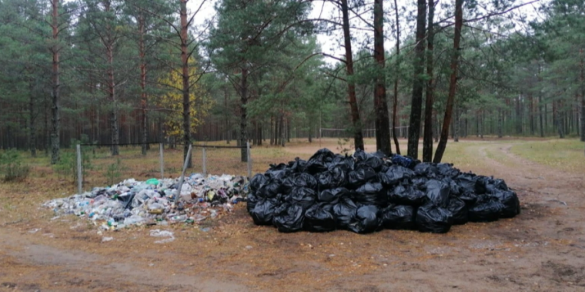 В Псковской области очищено 97 км береговых линий - 2023-11-08 17:35:00 - 1