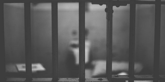 Великолучанин проведет несколько месяцев в колонии за кражу куртки - 2021-10-18 10:35:00 - 1