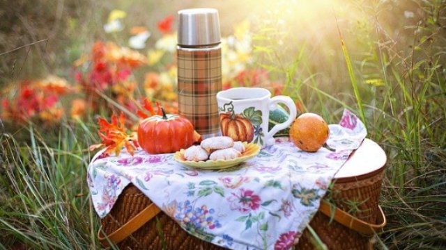 Правила отдыха в лесу призывает соблюдать МЧС Псковской области - 2021-06-04 18:00:00 - 1