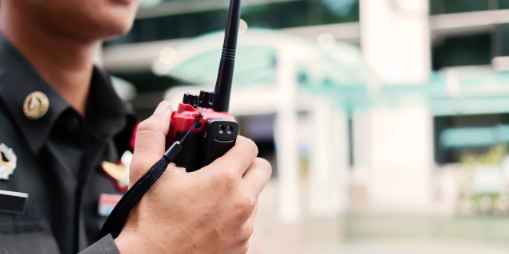 Дежурная часть МВД г. Великие Луки находится по новому адресу - 2021-02-16 17:30:00 - 1