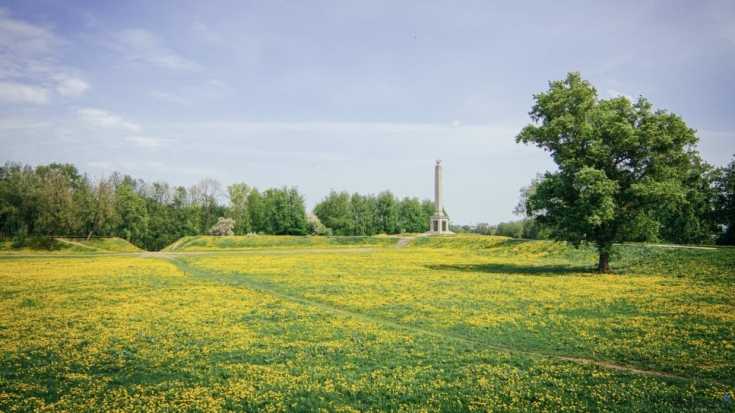 В Великие Луки наконец-то пришла весна - 2021-05-18 13:45:00 - 1