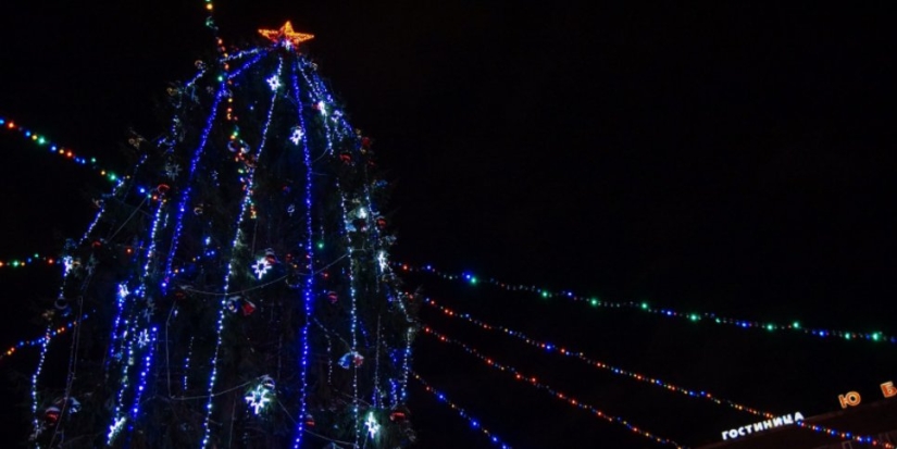 Завтра в Великие Луки доставят новогоднюю ель - 2021-12-14 13:35:00 - 1