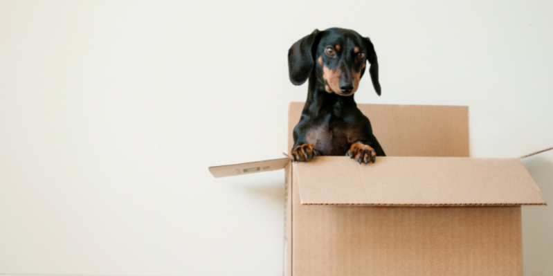 Россияне не хотят переезжать в Москву, Челябинск, Владивосток и Хабаровск - 2021-03-24 20:00:00 - 1