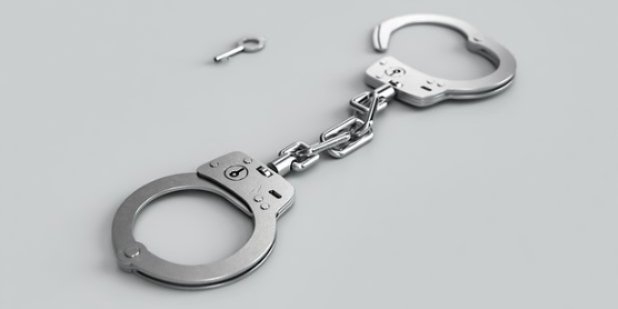 В Пскове и Великих Луках задержаны подозреваемые в кражах - 2021-07-27 12:12:00 - 1