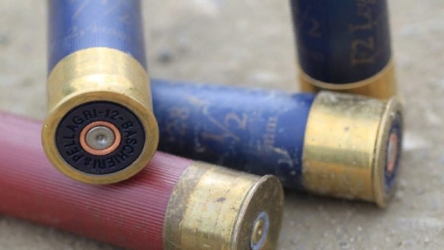 Двое печерян подозреваются в незаконном сбыте обреза ружья с патронами - 2021-06-02 13:12:00 - 1