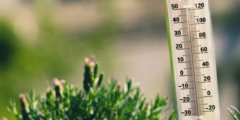 Гидрометцентр пообещал потепление в Центральной России - 2021-10-11 19:30:00 - 1