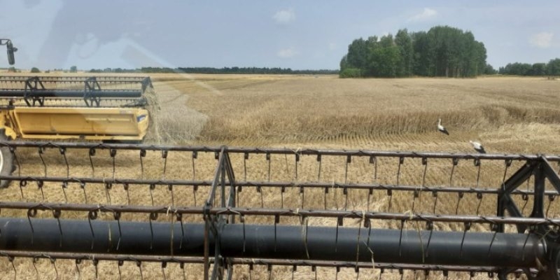 Сельхозпроизводители Псковской области начали уборку зерновых - 2021-07-23 09:35:00 - 1