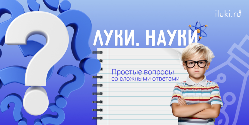 «Луки.Науки» отвечает на глупые вопросы - 2023-12-14 17:35:00 - 1