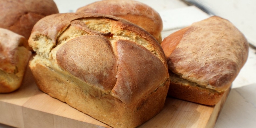 Четыре псковских бренда принимают участие в конкурсе «Вкусы России» - 2021-08-18 11:47:00 - 1