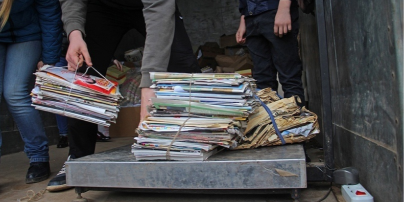 Средства от сбора макулатуры в Псковской области отдадут приютам для животных - 2023-04-21 11:35:00 - 1