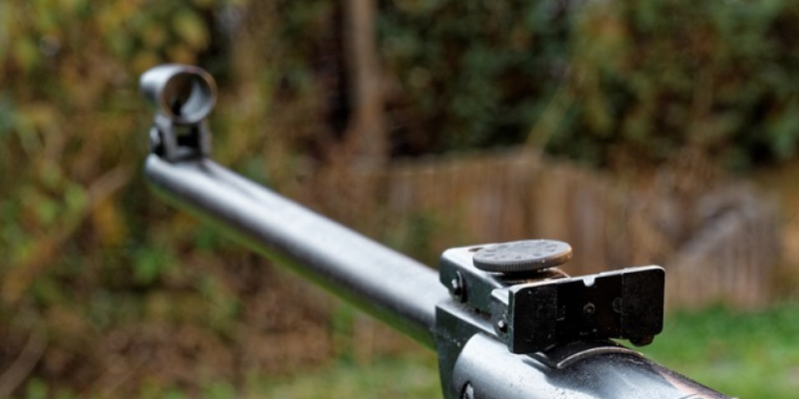 В одной из деревень Псковской области мужчина застрелил знакомого из-за ревности - 2021-03-09 14:18:00 - 1