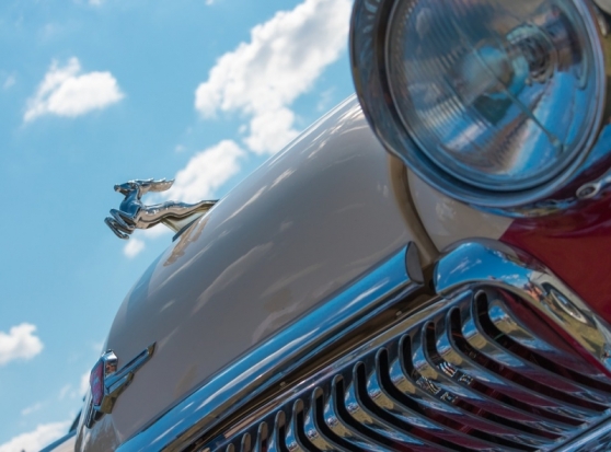 Выросла доля россиян, которые сожалеют о распаде СССР - 2018-12-20 12:03:00 - 1