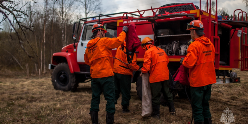 Учения по тушению лесного пожара прошли в Струго-Красненском районе - 2023-04-27 08:35:00 - 1