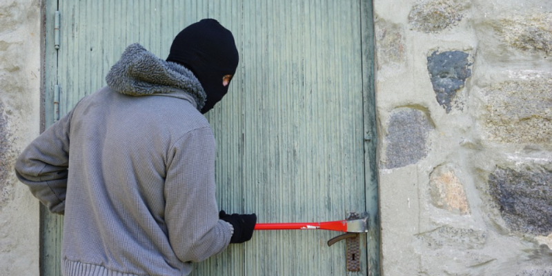 В Великих Луках раскрыта кража с оптовой базы - 2021-02-16 13:30:00 - 1