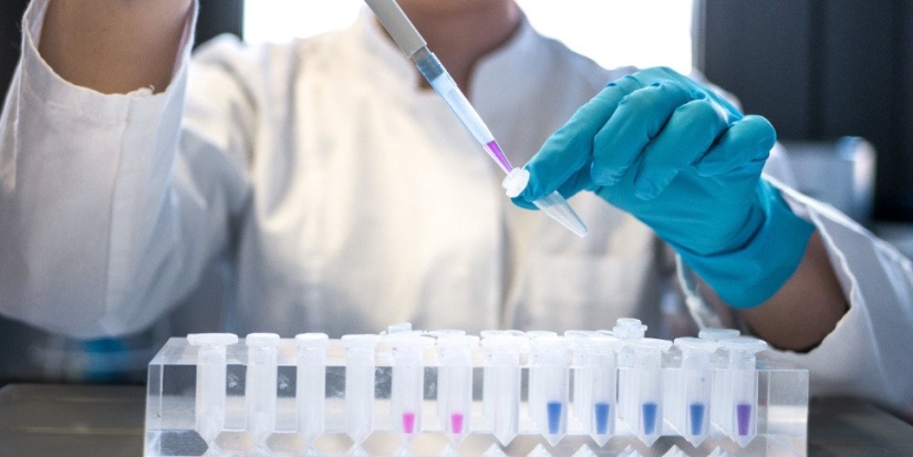 Эффективнее тестировать противораковые лекарства поможет открытие ученых - 2023-01-04 15:05:00 - 1