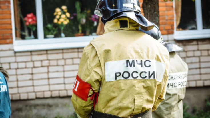 В Великих Луках обезвредили шесть гранат времен войны - 2021-04-28 11:59:28 - 1