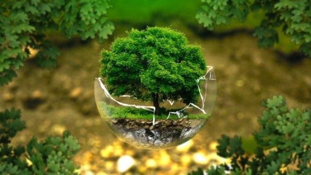 Ряд экологических акций пройдет в Псковской области - 2021-06-04 18:30:00 - 1