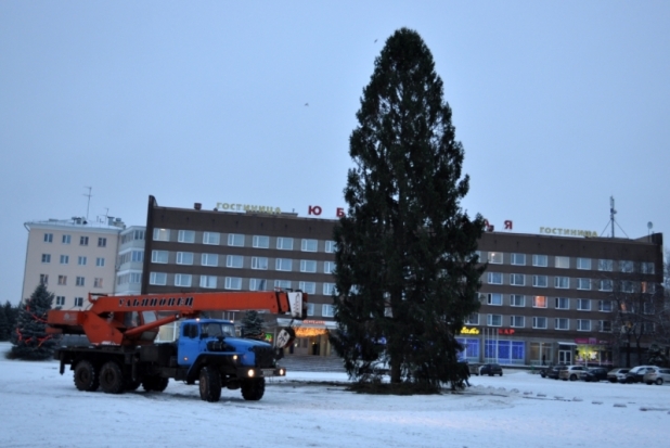 26 декабря в Великих Луках состоится открытие главной городской елки - 2018-12-22 19:18:00 - 1