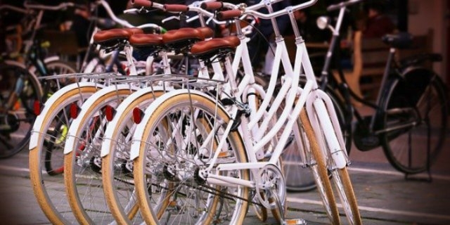 Великолучанина задержали за кражу трех велосипедных колес - 2021-10-13 16:05:00 - 1