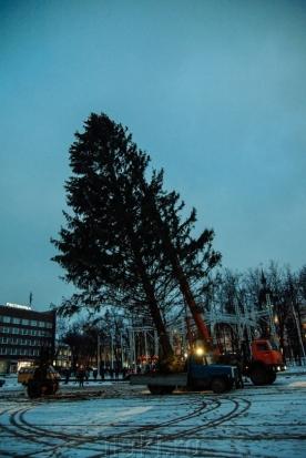 Сегодня в Великие Луки прибудет Главная новогодняя ёлка (смотри LIVE) - 2018-12-14 11:44:00 - 1
