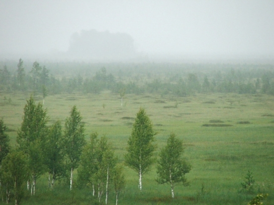 Сегодня – День работников заповедного дела в России - 2018-10-14 17:13:00 - 1