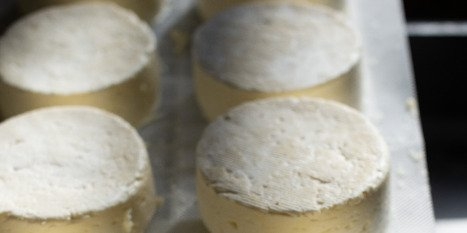«Любитель» сыра похитил со склада несколько сот килограммов этого продукта - 2022-09-28 11:40:33 - 1