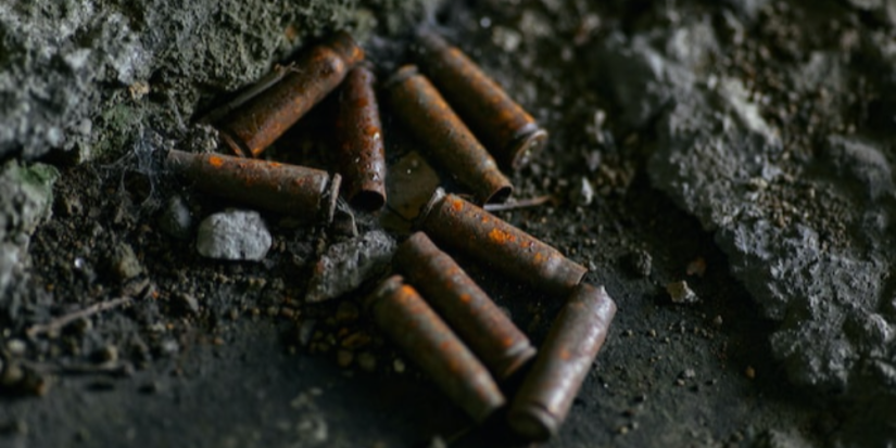 В Псковской области прошло профилактическое мероприятие «Оружие» - 2023-10-08 10:05:00 - 1