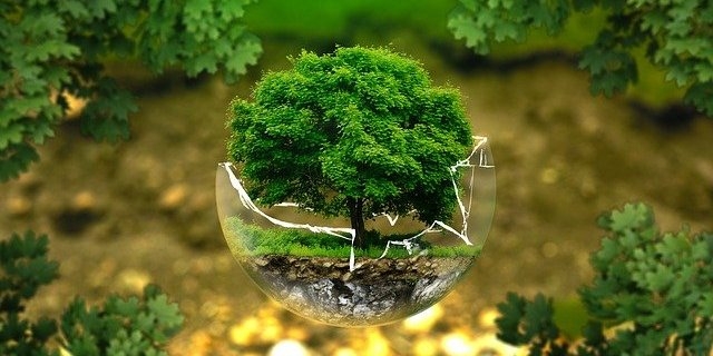 В России стартовала акция #выбираючистыйвоздух - 2022-06-19 13:05:00 - 1