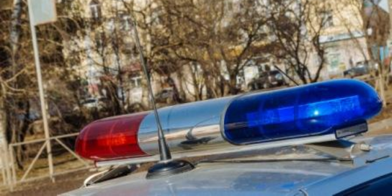 В Новосокольниках и Усвятском районе задержаны нетрезвые водители - 2021-03-17 12:08:00 - 1