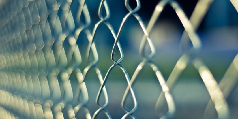 Жители Пыталово осуждены за организацию незаконной миграции - 2021-09-28 15:58:00 - 1