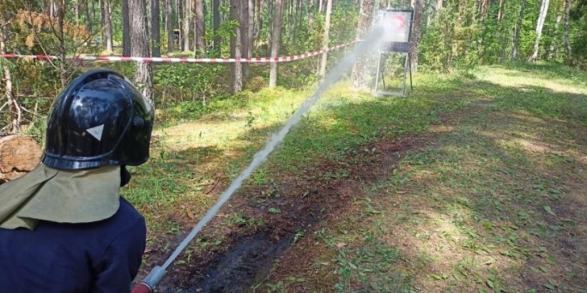 В Печорском районе завершились областные соревнования «Школа безопасности» - 2021-06-24 10:13:00 - 1