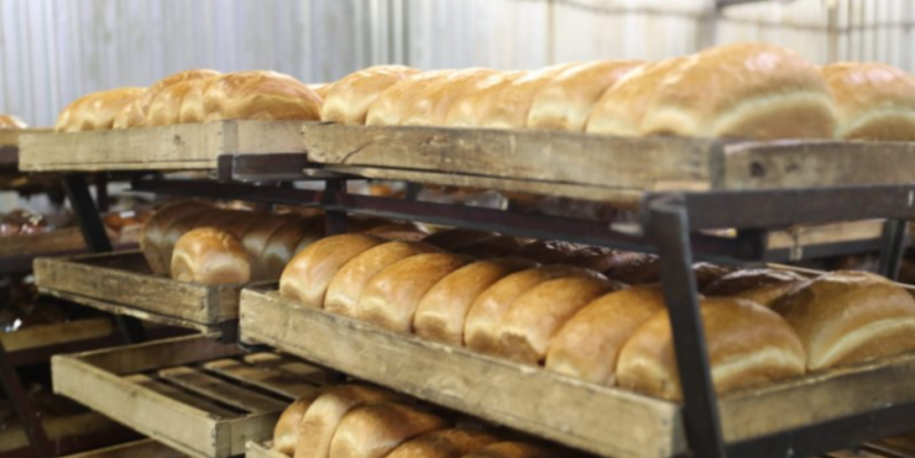 Михаил Ведерников посетил в Кунье газифицированный хлебозавод - 2023-08-04 11:05:00 - 1