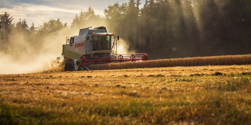 Торф предполагается исключить из списка агрохимикатов - 2021-01-29 18:30:00 - 1