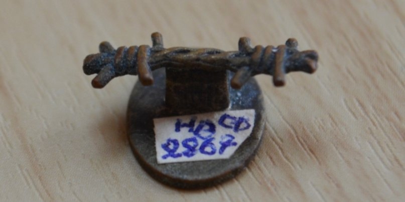 Великолукский музей стал участником акции «Коллекция «Территории Победы» - 2022-05-23 11:35:00 - 1