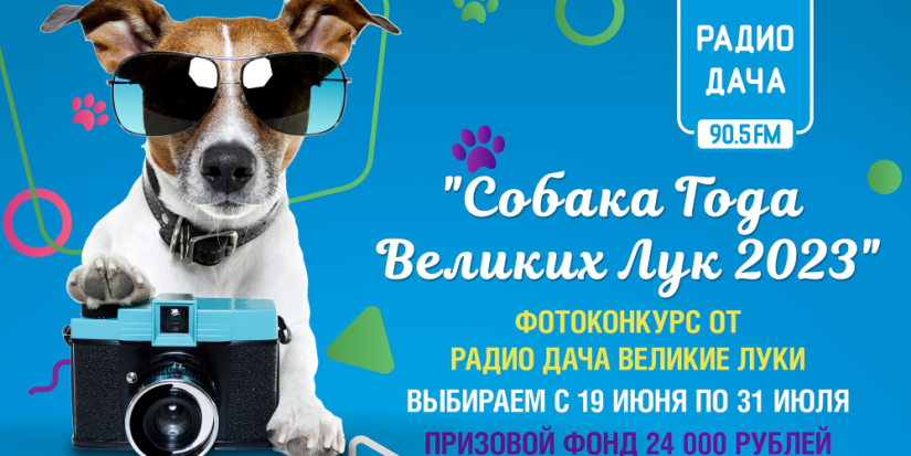 Великолучане выбирают самых милых и забавных собачек - 2023-07-17 17:05:00 - 1
