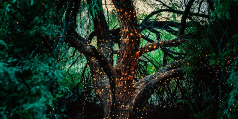 Существует ли Лукоморье, узнают участники квеста в Дни Пушкинской поэзии - 2024-05-29 09:05:00 - 1