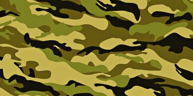 Великолучан приглашают в ВУЗы Министерства обороны РФ - 2022-03-19 09:05:00 - 1