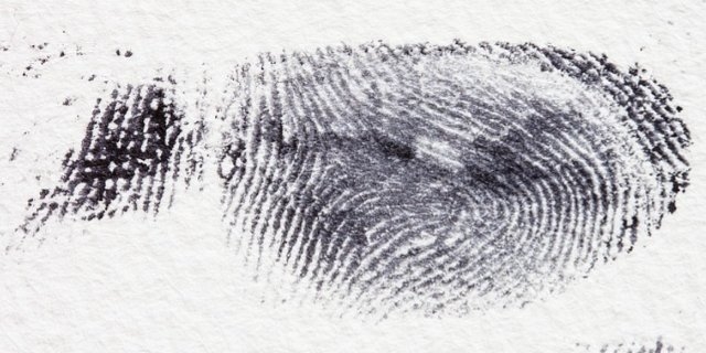 За несколько дней мошенники украли у жителей региона более полутора миллионов - 2021-11-03 12:05:00 - 1
