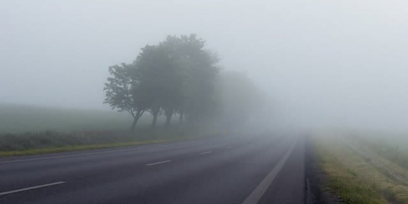 В России будет принят закон о поиске людей по геолокации - 2021-03-05 20:00:00 - 1