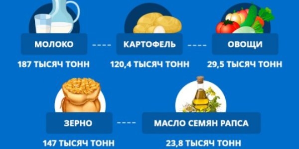 В Псковской области выросло производство молока, картофеля и рапса - 2021-12-21 16:05:00 - 1