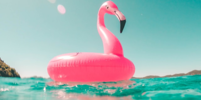 В Псковской области стартовала летняя оздоровительная кампания - 2024-05-30 14:05:00 - 1