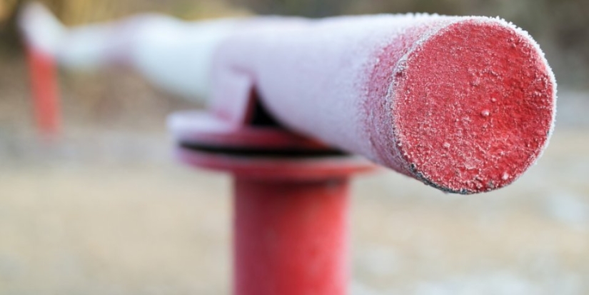 Псковские таможенники остановили продажу немаркированных сигарет - 2021-09-15 14:15:00 - 1