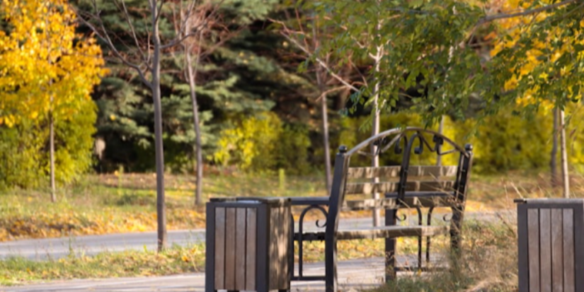 Порхов и Себеж - в числе населённых пунктов с благоприятной городской средой - 2024-04-04 12:05:00 - 1