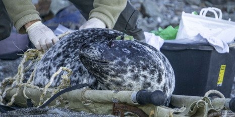 В России подводят итоги экспедиций и исследований полевого сезона - 2022-10-02 20:00:00 - 1