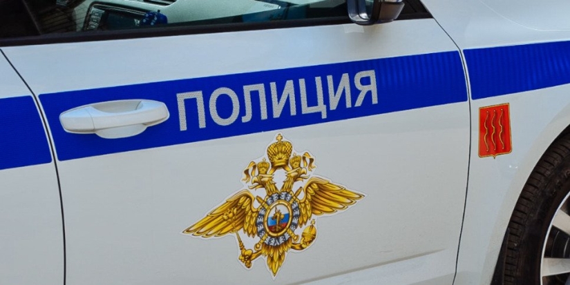 В Великих Луках полицейские раскрыли угон - 2022-11-03 13:35:00 - 1