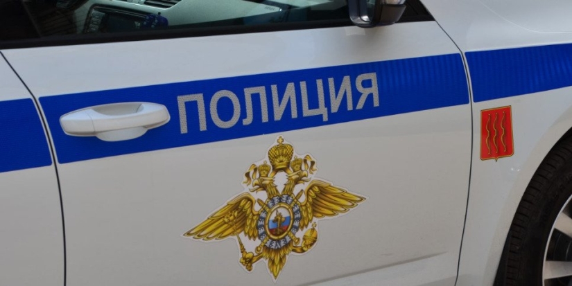 Полицейские нашли пропавшую жительницу Великих Лук - 2022-11-23 12:05:00 - 1