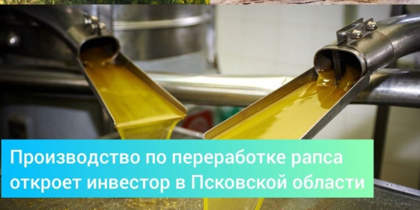 Производство по переработке рапса появится в Псковской области - 2022-10-21 17:05:00 - 1